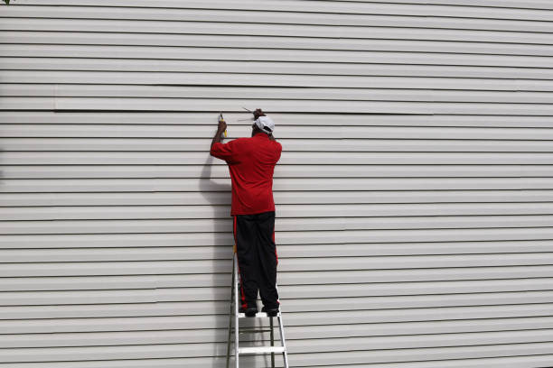 Best Vinyl Siding Installation  in Walnut Grove, CA